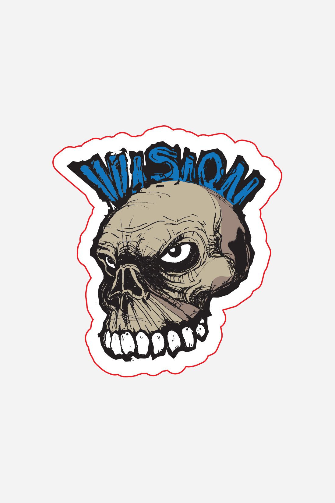 Vision Street Wear Skateboard Stickers